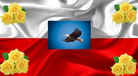 Breguła Kevin